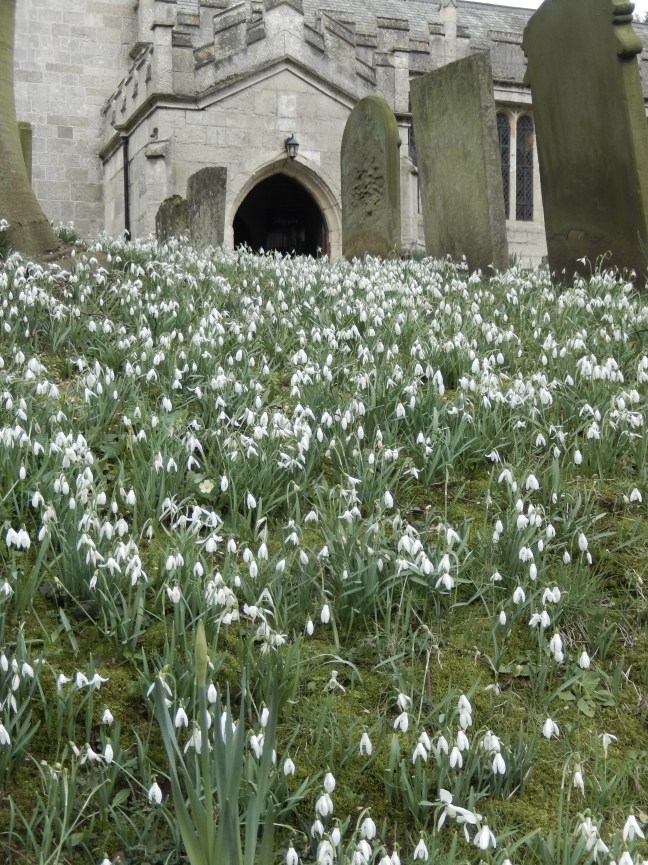All Saints’ Parish Church, Babworth, with snowdrops